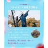 「（セール）ワゴンセール 数量限定 BOTANIST ボタニストヘアマスク ディープダメージリペアバーム サクラ＆チェリーの香り 180g×2 I-ne」の商品サムネイル画像7枚目