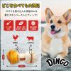 「ディンゴ チキンディップ 超小型〜小型犬用 16本入 1袋 スペクトラム ブランズ ジャパン 犬用 おやつ」の商品サムネイル画像3枚目