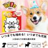 「ディンゴ トライアルパック 6個入 超小型〜中型犬用 1袋 スペクトラム ブランズ ジャパン 犬用 おやつ」の商品サムネイル画像4枚目
