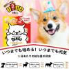 「ディンゴ トライアルパック 6個入 超小型〜中型犬用 1袋 スペクトラム ブランズ ジャパン 犬用 おやつ」の商品サムネイル画像5枚目