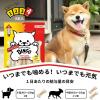 「ディンゴ チキンボーンストロング M 小型〜中型犬用 8本入 1セット（1袋×3）スペクトラム ブランズ ジャパン 犬用 おやつ」の商品サムネイル画像5枚目
