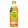 「ポッカサッポロフード＆ビバレッジ 北海道搾り夕張メロンソーダ 500ml 1箱（24本入）」の商品サムネイル画像2枚目