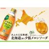 「ポッカサッポロフード＆ビバレッジ 北海道搾り夕張メロンソーダ 500ml 1箱（24本入）」の商品サムネイル画像3枚目