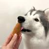 「【ワゴンセール】ママラブ パピー ふっくらヤギミルクコッペパン 無添加 国産 4本入 1袋（わけあり品）」の商品サムネイル画像10枚目