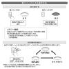 「オーム電機 LEDシーリング Y26S6ーWD 06-5058 1個」の商品サムネイル画像2枚目