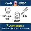 「新コンタックかぜ総合DX 12カプセル Haleonジャパン ★控除★ 総合かぜ薬 のどの痛み 発熱 鼻水 鼻づまり【指定第2類医薬品】」の商品サムネイル画像4枚目