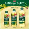 「日清キャノーラ＆オリーブ 800g 1個 日清オイリオ　オリーブオイル」の商品サムネイル画像6枚目