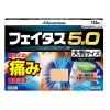「フェイタス 5.0大判サイズ10枚 久光製薬 ★控除★ 関節痛 筋肉痛 腰痛 腱鞘炎【第2類医薬品】」の商品サムネイル画像2枚目