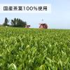 「伊藤園 お〜いお茶 レモン×緑茶 LEMON GREEN 600ml 1箱（24本入）」の商品サムネイル画像8枚目