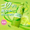 「伊藤園 お〜いお茶 緑茶 PURE GREEN 2L 1箱（6本入）」の商品サムネイル画像4枚目