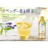 「【ワゴンセール】ポッカサッポロ 富良野ラベンダーティー 500ml 1セット（6本）（わけあり品）」の商品サムネイル画像4枚目