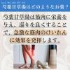 「「クラシエ」漢方芍薬甘草湯エキス顆粒 45包 クラシエ薬品 こむらがえり 足のつり【第2類医薬品】」の商品サムネイル画像6枚目