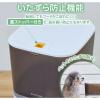 「自動給餌器 猫 中小型犬 4L 1匹用 録音可 タイマー式 ステンレスボウル 1個 ホワイト PET-AF01WH エレコム 1個」の商品サムネイル画像5枚目