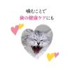 「（バラエティパック）モンプチ クリスピーキッス 総合栄養食 4種シーフード 288g（6g×48袋）1袋 ネスレ日本」の商品サムネイル画像10枚目
