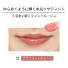 「ettusais（エテュセ） リップエディション （ティントルージュ） 11 アプリコットチュール」の商品サムネイル画像2枚目