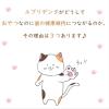 「エブリデンタ 歯みがきおやつ かつお味・まぐろ味 2種バラエティパック 国産 100g（5g×20パック）3袋 スマック 猫用 単品送料無料」の商品サムネイル画像6枚目