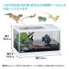 「エキゾテラ レプテリア 爬虫類 ガラスケージ ツインビュー 300ホワイト 1個 ジェックス 新商品」の商品サムネイル画像4枚目