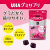 「UHA味覚糖　UHAグミサプリ　鉄（10日分）　グレープ味　1セット（1袋（20粒入）×6）　サプリメント」の商品サムネイル画像5枚目