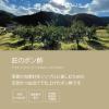 「塩ぽん酢 しろぽん ゆず塩仕立て 200ml 1本 但馬醸造所　国産柚子 ポン酢」の商品サムネイル画像4枚目