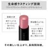 「KANEBO（カネボウ）  ルージュスターヴァイブラント EX9 数量限定」の商品サムネイル画像4枚目