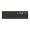 「KANEBO（カネボウ）  ルージュスターヴァイブラント EX9 数量限定」の商品サムネイル画像6枚目