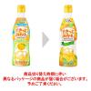 「アサヒ飲料 クラフトシロップ すきっとみかん＜希釈用＞プラスチックボトル 470ml 1箱（12本入）」の商品サムネイル画像3枚目