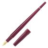 「パイロット 万年筆 デスクペン 金色仕様 レッド軸 細字（F） P-DPP-1S-RF 1セット（1本×10）」の商品サムネイル画像2枚目