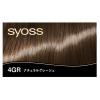 「syoss（サイオス）　クレイクリーム　ヘアカラー　4ＧＲ　ナチュラルグレージュ 2個 ヘンケルジャパン」の商品サムネイル画像5枚目