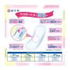 「白十字 サルバさらさらケアパッド100cc 31731 1箱（28枚入×24パック）」の商品サムネイル画像3枚目