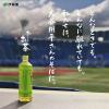 「【ワゴンセール】【水出し可】伊藤園 おーいお茶 抹茶入り緑茶 粉末 1袋（40g）（わけあり品）」の商品サムネイル画像4枚目