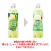 「【ワゴンセール】カルピスソーダ 国産メロンのクリームソーダ ＰＥＴ 500ml 1箱（24本入）（わけあり品）」の商品サムネイル画像3枚目