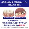 「歯磨き粉 フッ素 BUTLER（バトラー） エフペーストα 90g 1セット（2本）高濃度フッ素1450ppm配合 むし歯予防 サンスター」の商品サムネイル画像3枚目