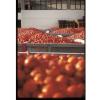 「アルチェネロ アルチェネロ有機カットトマトソース 500g 1個」の商品サムネイル画像8枚目