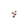 「illy イリーブレンド 豆 ミディアムロースト (クラシコ) 201032 1缶(250g)」の商品サムネイル画像5枚目