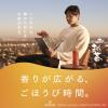 「伊藤園 おーいお茶 ほうじ茶 250ml エコパック (紙パック) 66098 1セット(48本)」の商品サムネイル画像4枚目