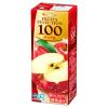 「【アウトレット】エルビー Fruits Selection アップル 24552 1箱(200ml×24本入)」の商品サムネイル画像2枚目