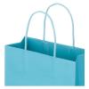 「スーパーバッグ レザー手提袋アクアブルー(L) 25003160 1セット(1袋(10枚入)×5) オリジナル」の商品サムネイル画像3枚目