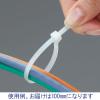 「アスクル 結束バンド屋内用100mm 白 1セット(1000本:100本入×10パック) オリジナル」の商品サムネイル画像2枚目
