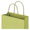 「スーパーバッグ レザートーン手提袋グラスグリーン(M) 25002590 1セット(50枚:10枚入×5袋) オリジナル」の商品サムネイル画像3枚目