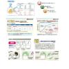 「クリロン化成 驚異の防臭袋BOS箱型(LLサイズ60枚入) BOS-2078 1箱(60枚入)」の商品サムネイル画像5枚目
