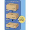 「森紙業 多罫線段ボール 底面A4 108451 1セット(1梱包(20枚入)×3)」の商品サムネイル画像3枚目