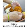 「アイ・ジー・オー ズレフィットS ZFIT-S 1箱」の商品サムネイル画像2枚目