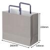 「アスクルカタログリサイクル紙手さげ袋「Come bag/カムバッグ」平紐タイプ 260×230×120mm 1袋（50枚入） オリジナル」の商品サムネイル画像2枚目