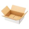 「森紙業 浅型白ダンボール B4 2021101102 1梱包(10枚入)」の商品サムネイル画像3枚目