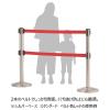「アスプルンド ベルトポールパーティション ダブルベルト スタッキング シルバーベース ベルト：ブラック 1セット（8台（6梱包））」の商品サムネイル画像8枚目