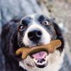 「ギグウィ（GiGwi）パーフェクトアントラー XS 1個 犬 おもちゃ」の商品サムネイル画像4枚目