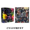 「トイレットペーパー 25m 4ロール ダブル FULL BLOOM COLLECTION プレミアムシャワートイレットロール 1パック」の商品サムネイル画像3枚目