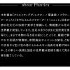 「トイレットペーパー 25m 4ロール ダブル FULL BLOOM COLLECTION プレミアムシャワートイレットロール 1パック」の商品サムネイル画像8枚目