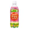 「伊藤園 ニッポンエール 山梨県産すももソーダ 480ml 1セット（3本）」の商品サムネイル画像2枚目
