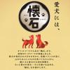 「懐石 健美 グレインフリー 1歳から チキン味 国産 2kg（500g×4袋）3個 ペットライン ドッグフード 犬用」の商品サムネイル画像10枚目